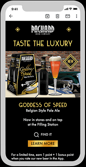 Packard Beer Company - Email marketing - product promotion